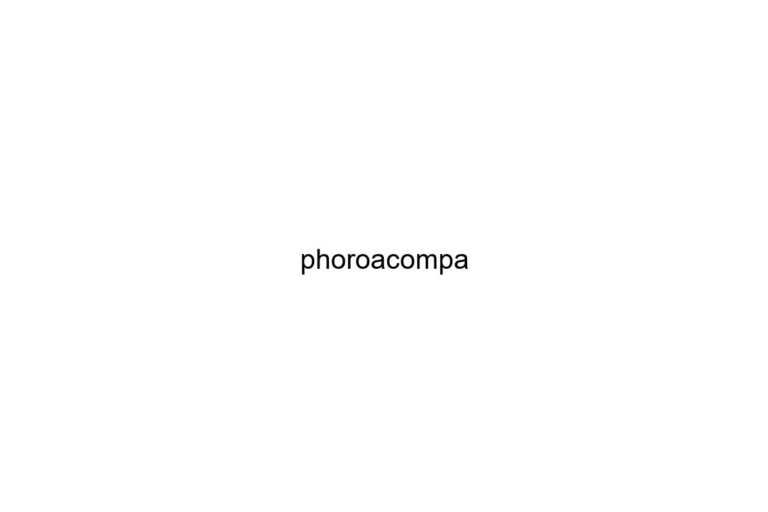 phoroacompa