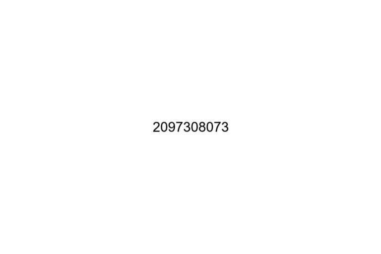 2097308073