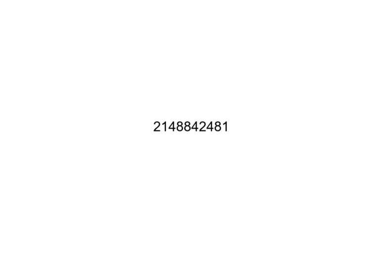 2148842481