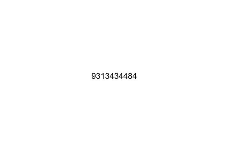 9313434484