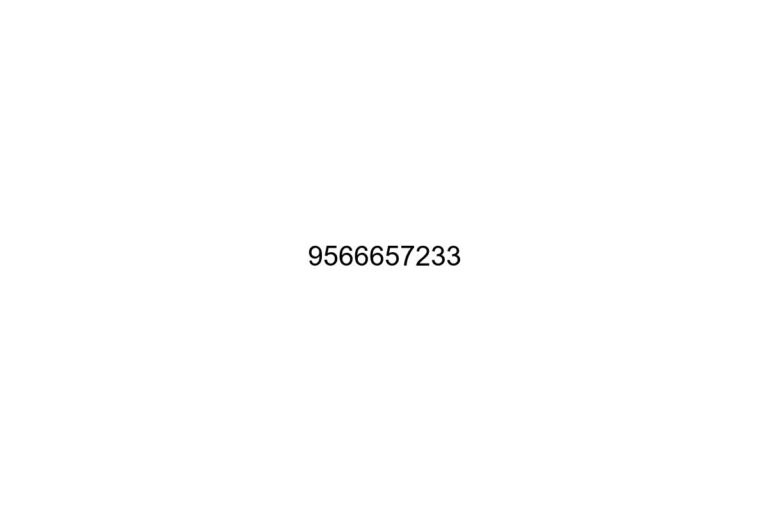9566657233