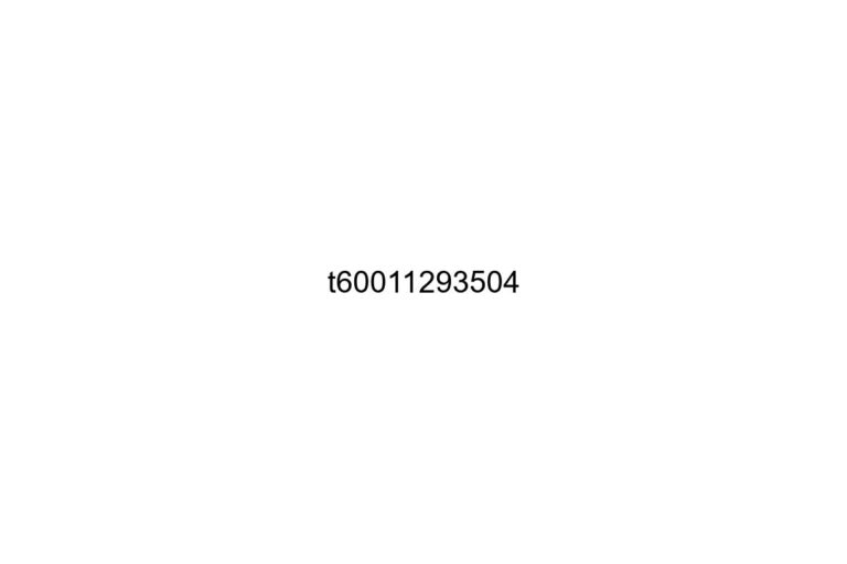 t60011293504