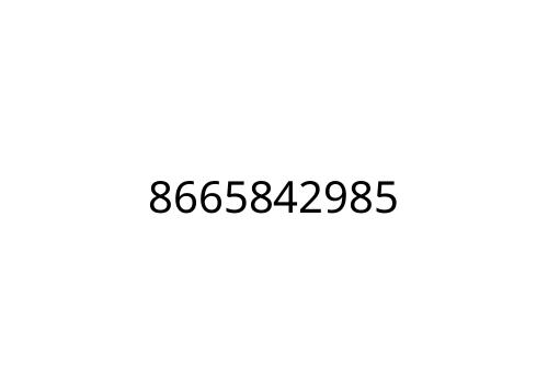 8665842985