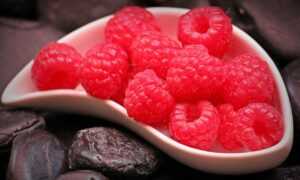 raajsingh5566 live