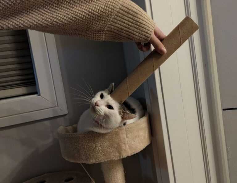 fattureonlinesonoincloud