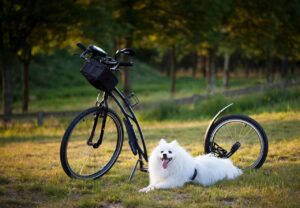 practice blackjack for free