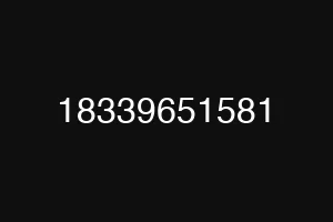 18339651581