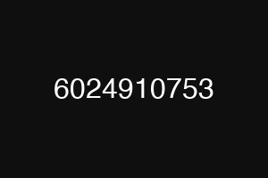 6024910753