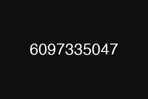 6097335047