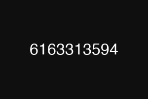 6163313594