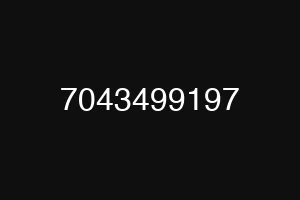 7043499197