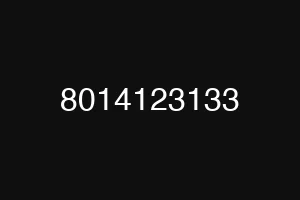 8014123133