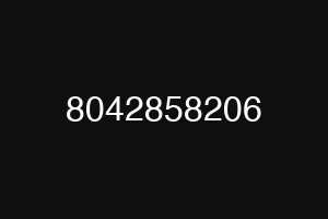 8042858206