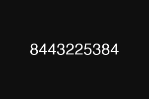 8443225384