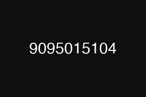 9095015104