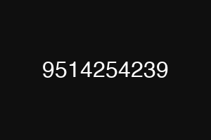 9514254239