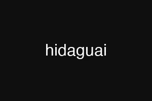 hidaguai