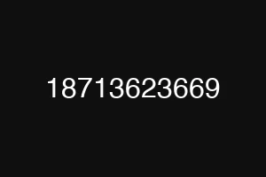 18713623669