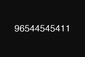96544545411
