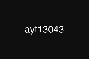 ayt13043